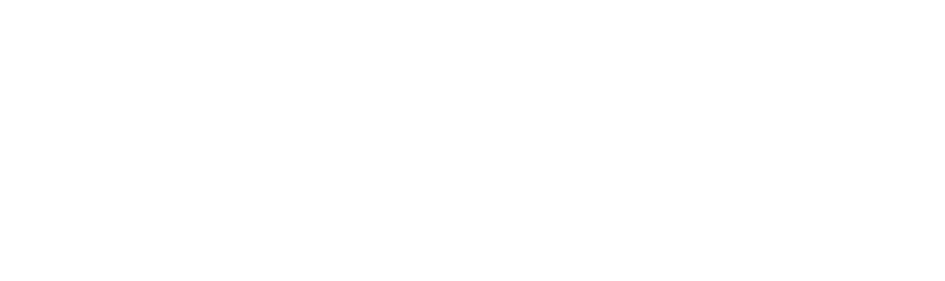 l5 navigation logo